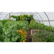 Weed Control with Ingrid Foley - Saturday 24th June 2023